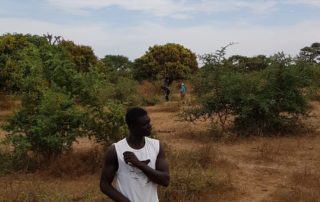 Construction d'un puit et formation d'un jardin au Sénégal