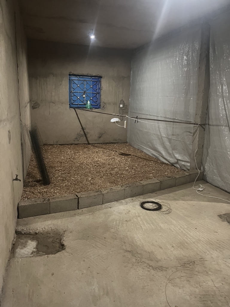 71FC0A0F-2058-4540-8F9F-2367620C9E42_1_105_c