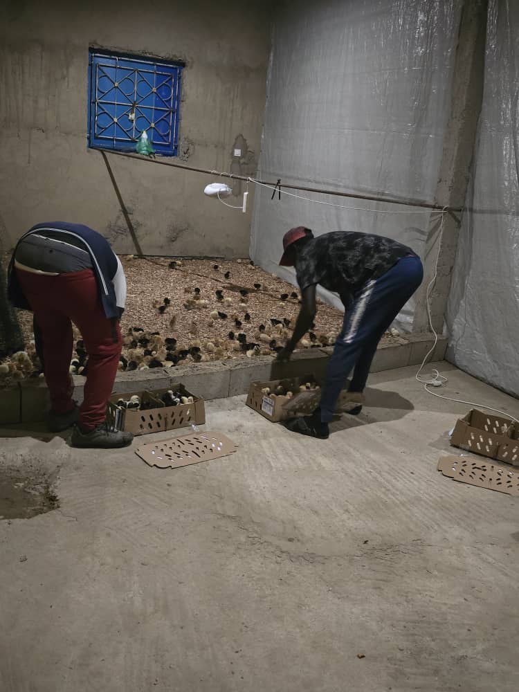 77CDDEAB-B9CF-4346-BCB7-F8F607DB4B39