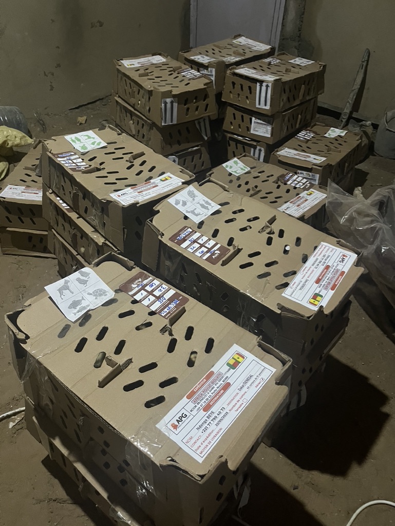 E2C25E18-E80A-4EF7-ABEF-F738446BC3C1_1_105_c