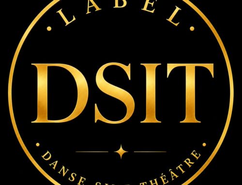 Création du Label DSIT