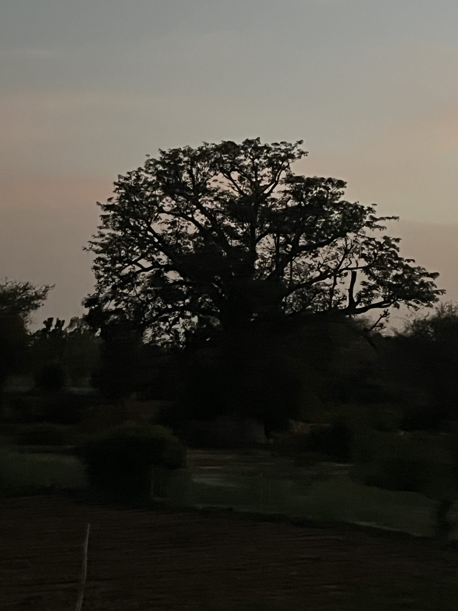 2025-07-27 22.04.16