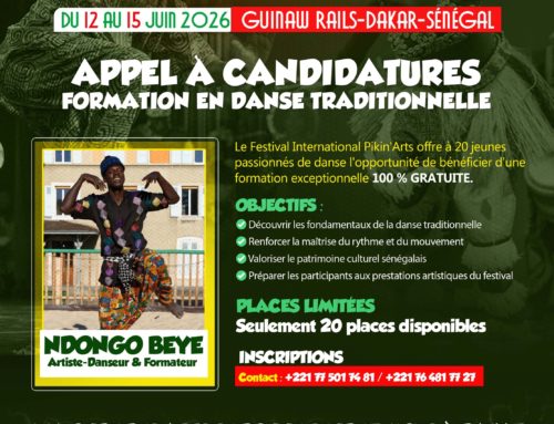 Formation en danse traditionnelle sénégalaise par Ndongo Beye